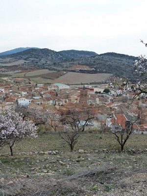 Feria de la Almendra y el Cordero - Herrera de los Navarros