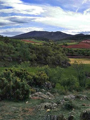 Fauna y Flora - Herrera de los Navarros